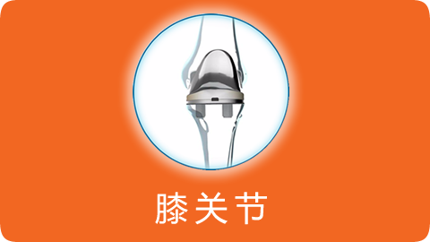膝关节